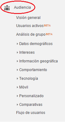 Análisis del informe de audiencia de una página web. Análisis de los datos relevantes de los usuarios. Marketing online Mallorca